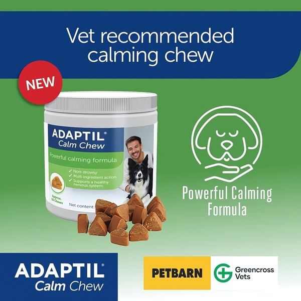 This 1:1 square ad uses clear authority-led copy and a high-contrast product shot to establish immediate trust for a calming pet product.